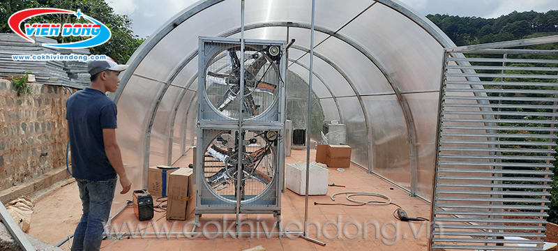 máy sấy hoa quả công nghiệp 