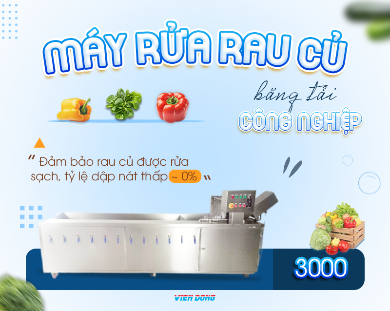 Máy rửa rau củ băng tải công nghiệp