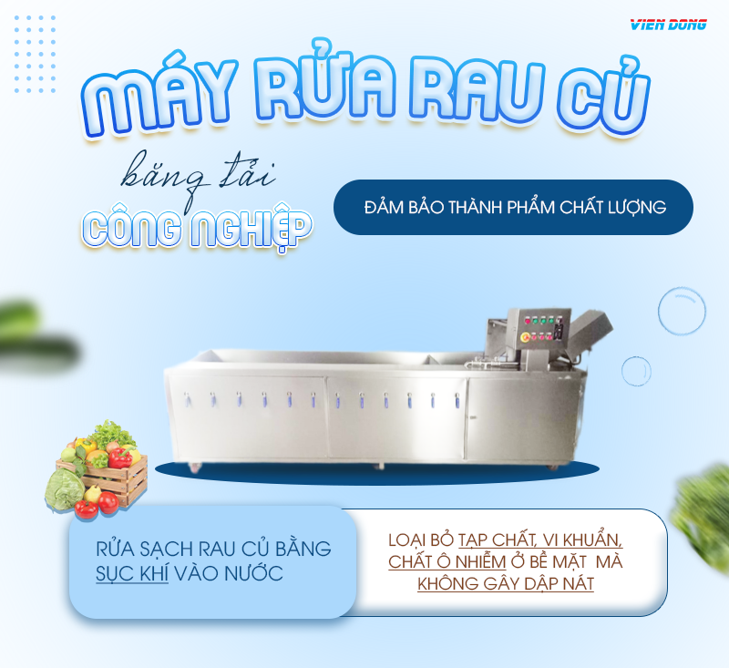 Máy rửa rau củ băng tải công nghiệp