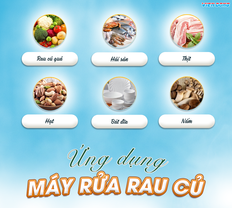 Máy rửa rau củ quả công nghiệp