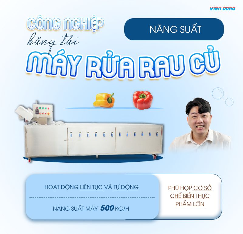 Máy rửa rau củ băng tải công nghiệp