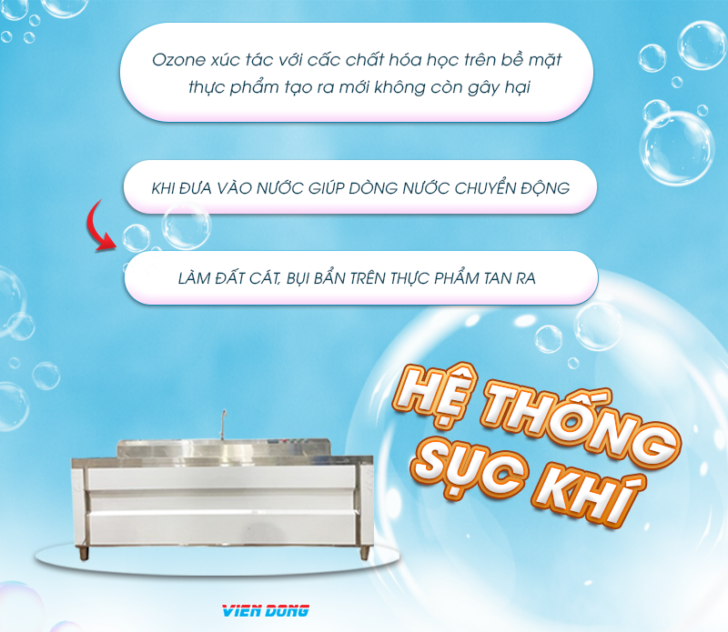 Máy rửa rau củ quả công nghiệp