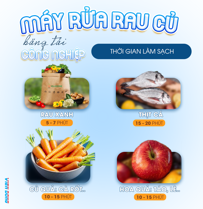 Máy rửa rau củ băng tải công nghiệp