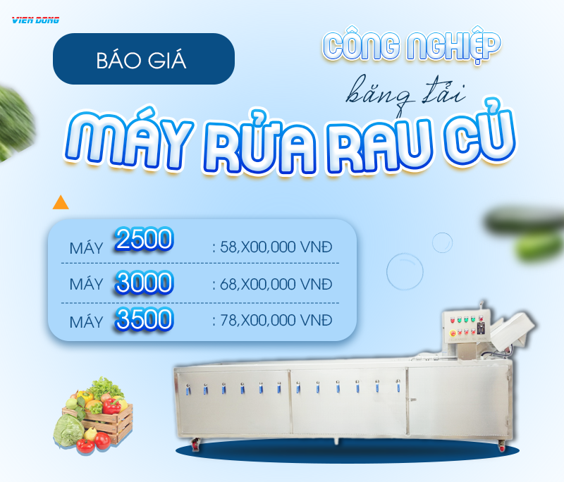 Máy rửa rau củ băng tải công nghiệp