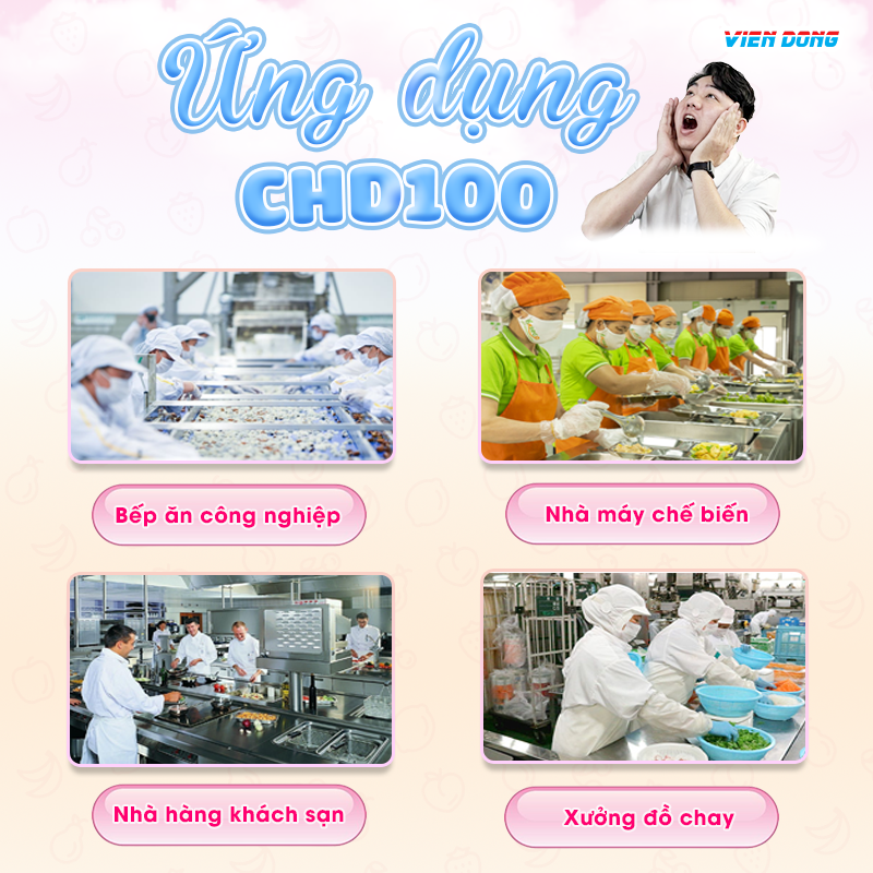 Máy cắt rau củ quả hạt lựu CHD100 Máy cắt rau củ quả hạt lựu CHD100