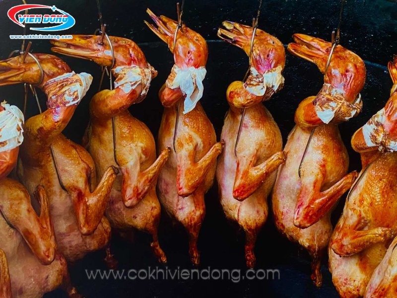 lò quay gà vịt lò quay gà vịt