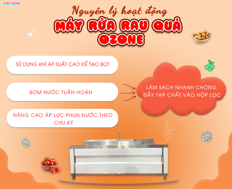 Máy rửa rau quả ozone