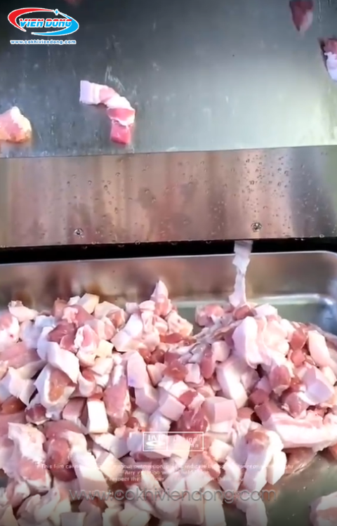 máy thái thịt công nghiệp